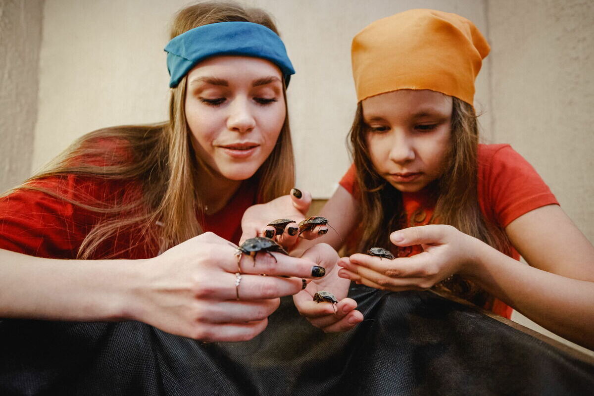 Фото квеста